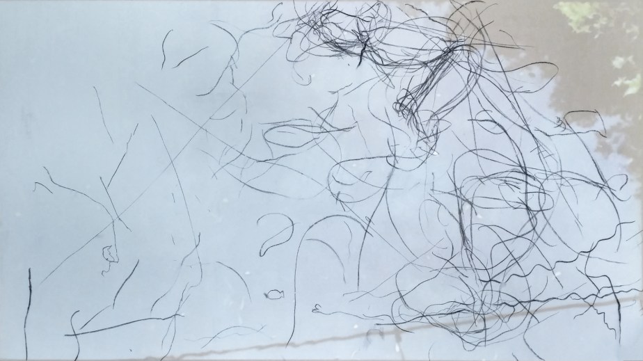 IMG_20171130_155114581_HDR-small