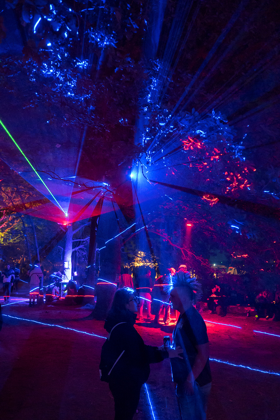 P1050816_small_processed